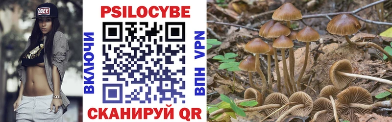 Псилоцибиновые грибы Psilocybe hydra ССЫЛКА Заинск