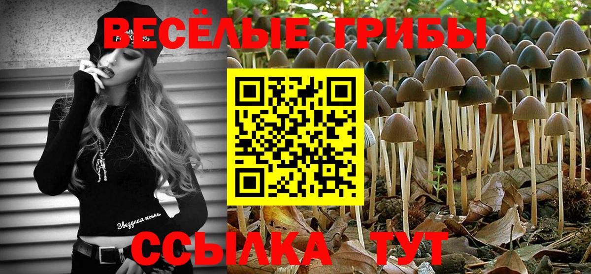 Заинск  Галлюциногенные грибы Cubensis  Вход с VPN 