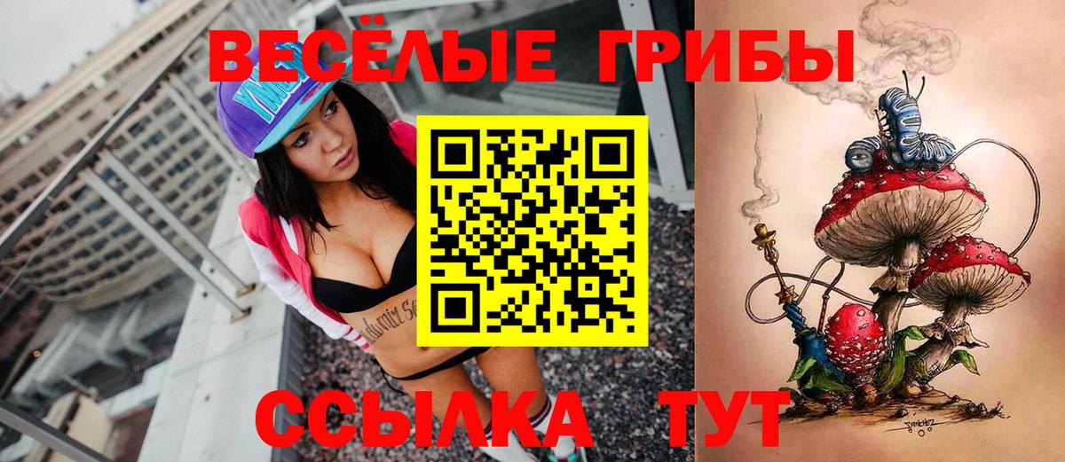 Псилоцибиновые грибы Cubensis Заинск