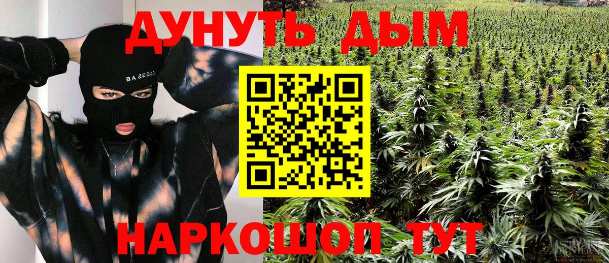 Каннабис планчик Заинск